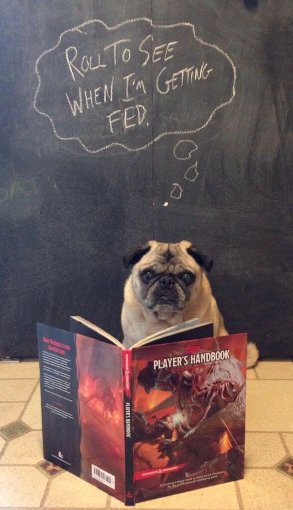 IFAQ: Elves and Pugs